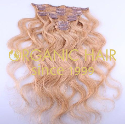 Hot sale wholesale remy flip halo hair extensions A7